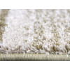 Wellness 3726/AJ61 | carpet.ua 