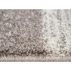 Wellness 6436/8003 | carpet.ua 