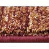 Wellness 6436/8103 | carpet.ua 