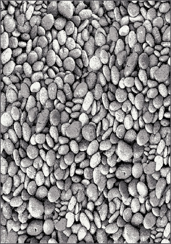 Gold B&W 273/18